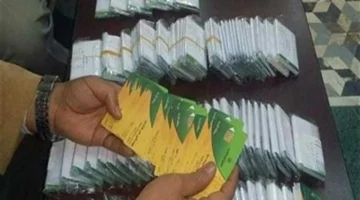 الاستحقاق الجديد.. تعرف على فئات إضافة مواليد لبطاقة التموين 2025